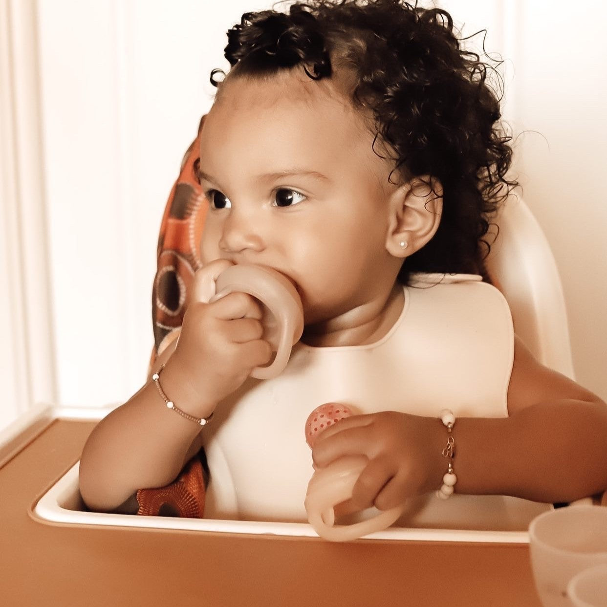 Silicone Food & Fruit Feeder Set