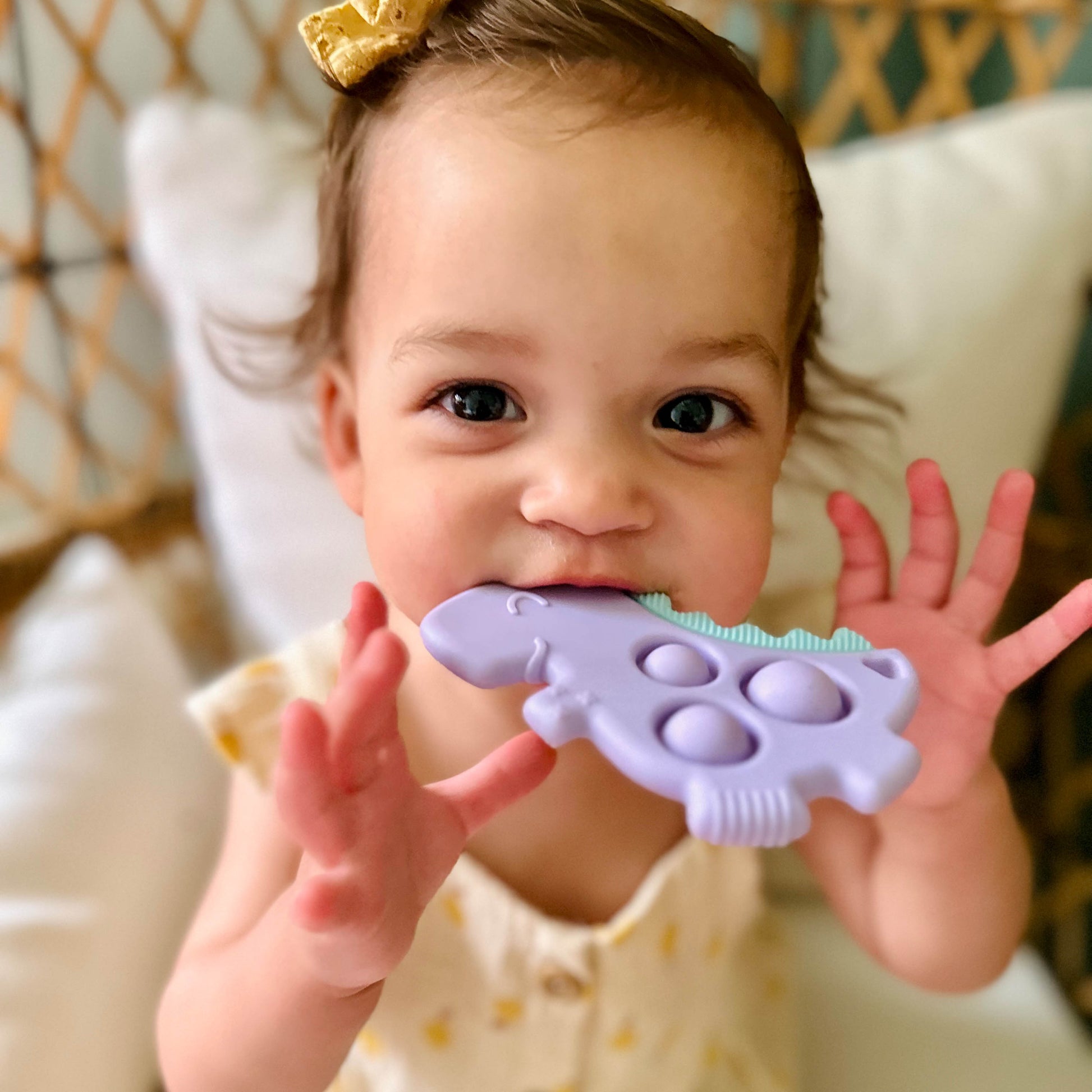 Itzy Pop Dino Popper Fidget Toy Teether
