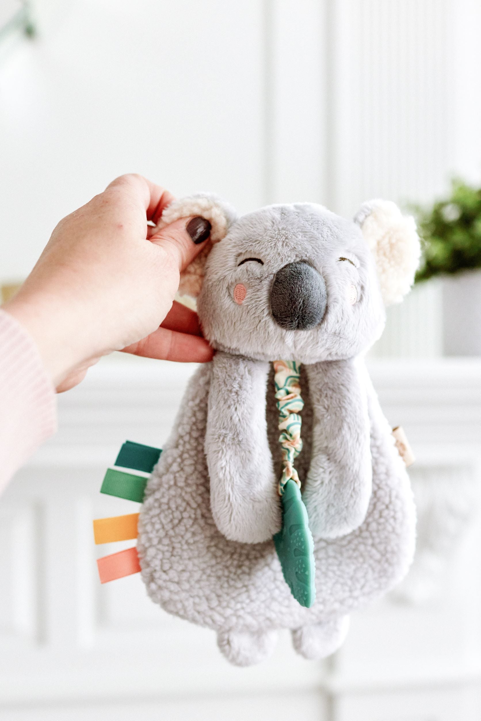 Baby Itzy Ritzy Stuffed Animal Lovey Koala Plush Toy. Jedbaby