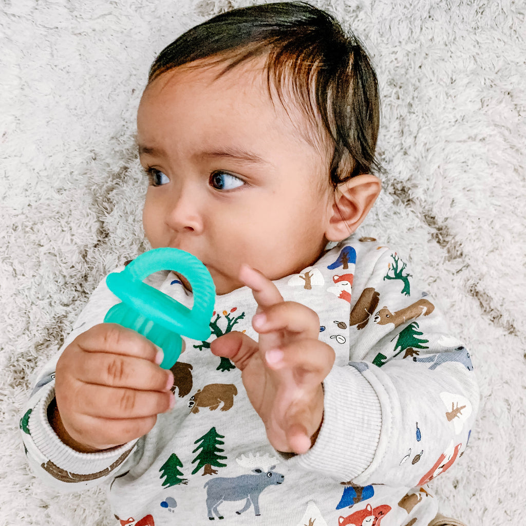 Teensy Teether Pacifier Cactus