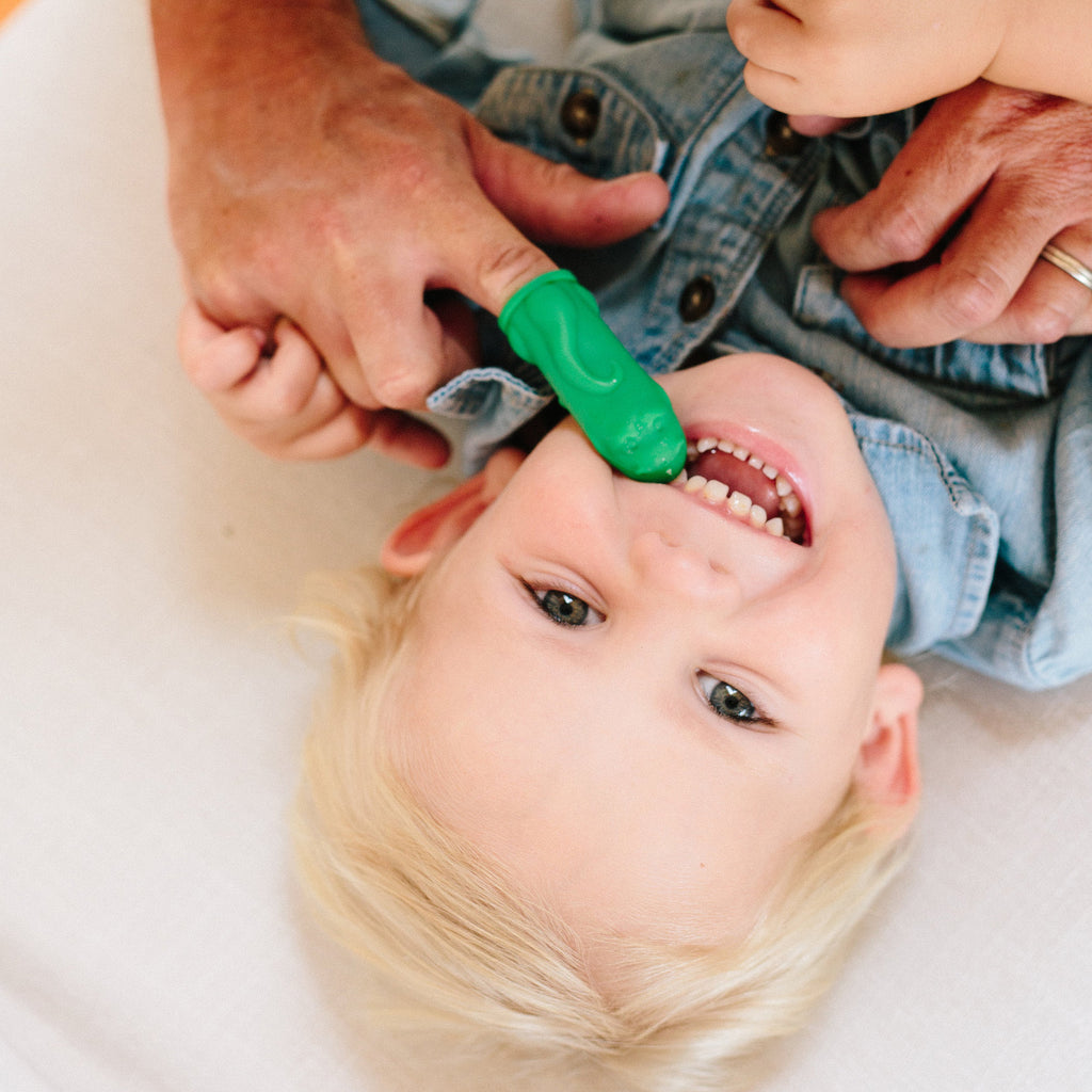 Chomps the Dino Brushie and Book Baby Toddler Toothbrush