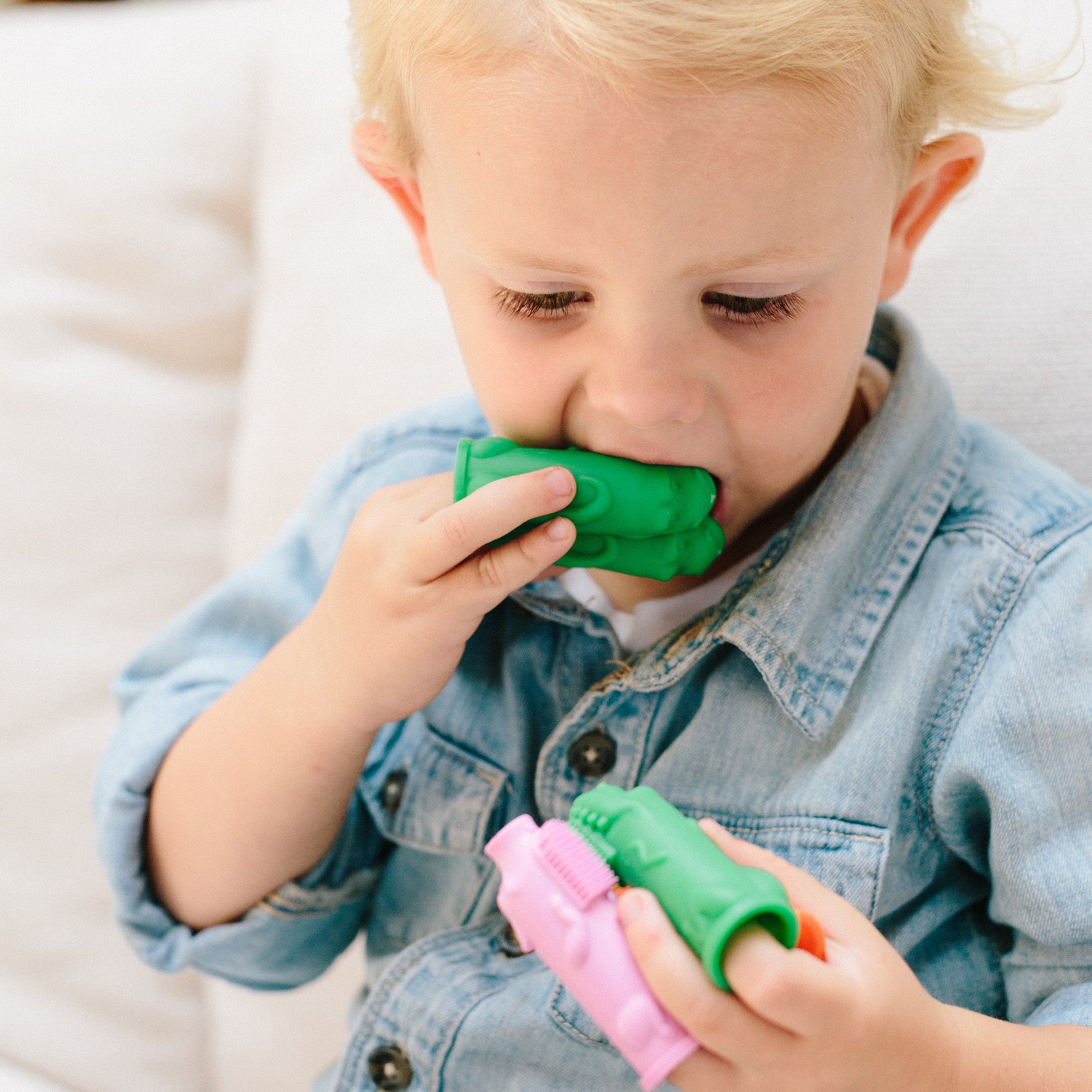 Chomps the Dino Brushie and Book Baby Toddler Toothbrush
