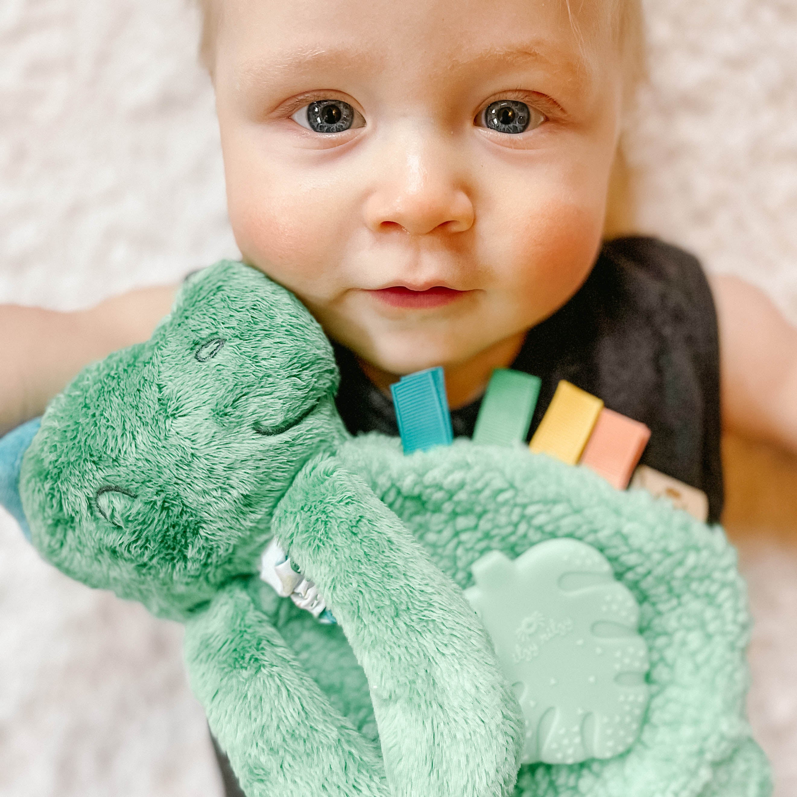 Itzy Lovey Dino Plush with Silicone Teether Toy