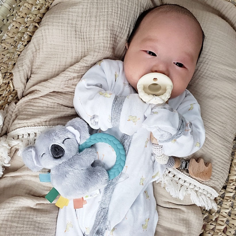 itzy ritzy plush rattle koala