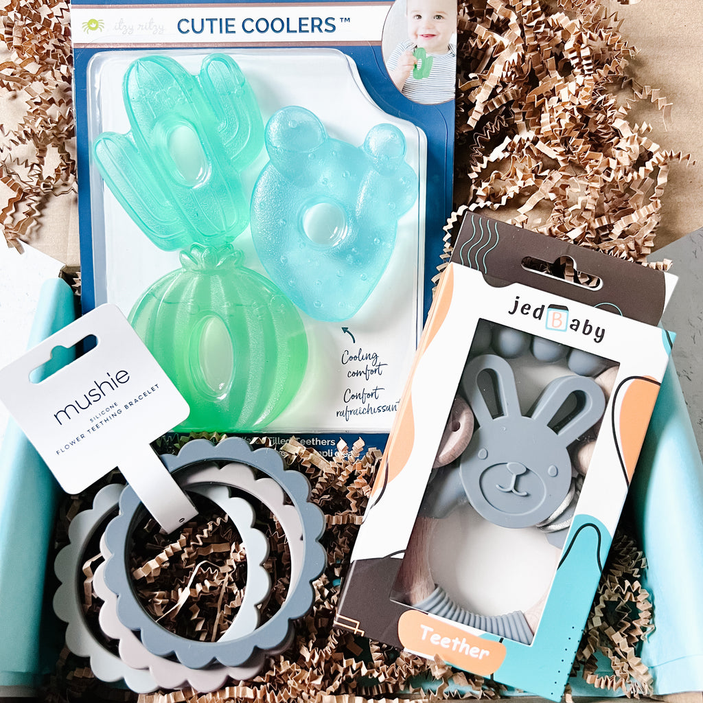 Itzy Ritzy 3pk Cutie Coolers Cactus Water Filled Teethers