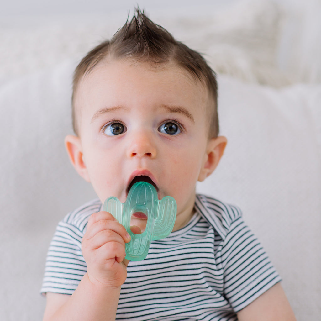 Infant Baby Itzy Ritzy 3pk Cutie Coolers Cactus Water Filled Teethers. Jedbaby