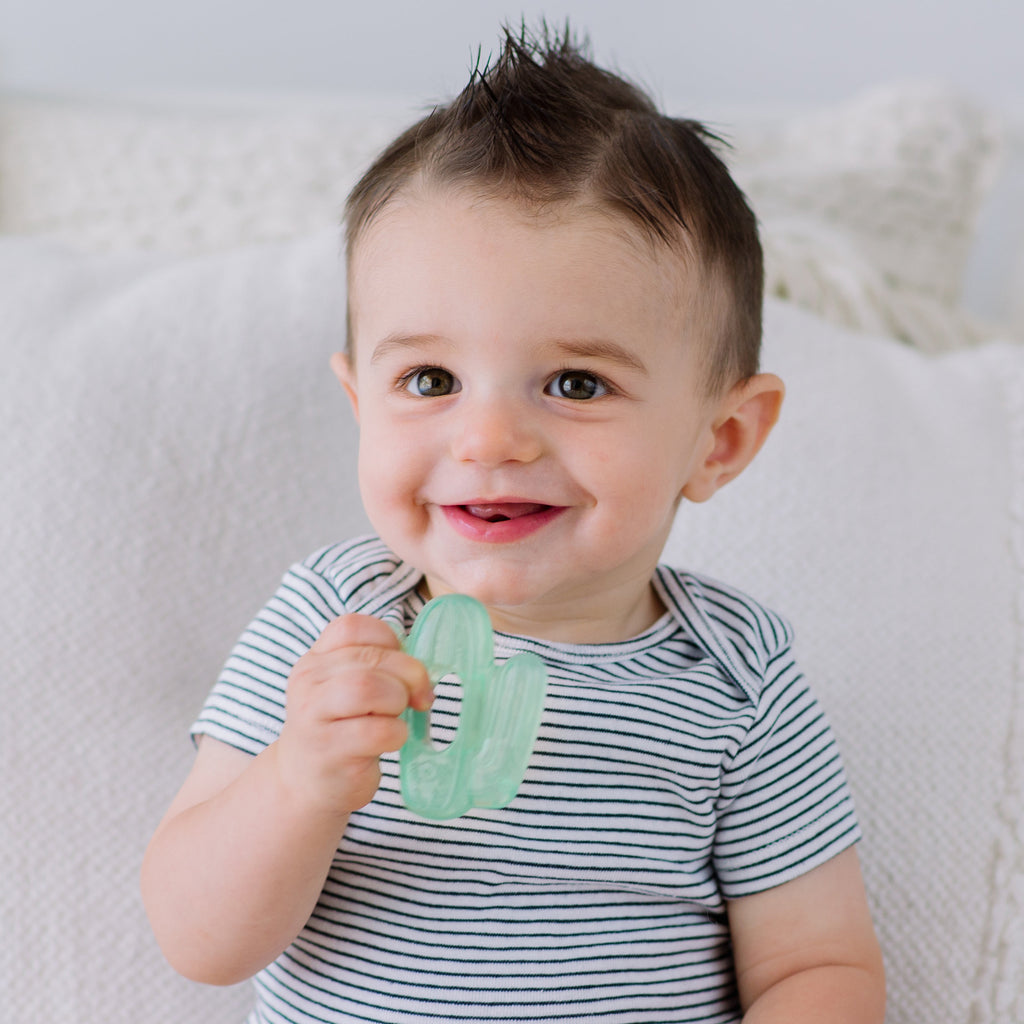 Infant Baby Itzy Ritzy 3pk Cutie Coolers Cactus Water Filled Teethers. Jedbaby